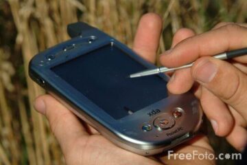 Peluang Usaha Restoran dengan Layanan IT