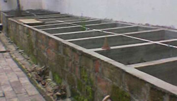Peluang Usaha Penampungan dan Penjualan Ikan air Tawar