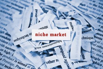 Tips Memilih Niche Market dalam Berbisnis Online