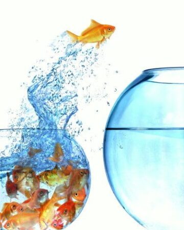 blue ocean strategy