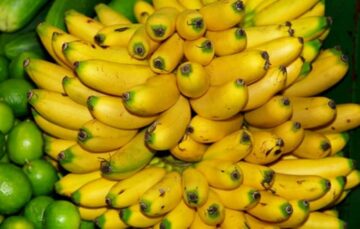 Peluang Bisnis Keripik Pisang Peluangnya Kian Cemerlang