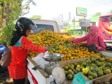 penjual jeruk menggunakan pick up