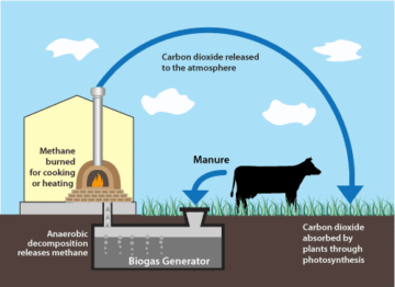 bisnis plan energi biogas dari limbah ternak
