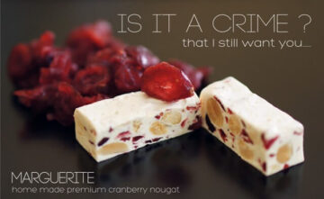 bisnis camilan sehat