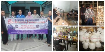 budidaya jamur