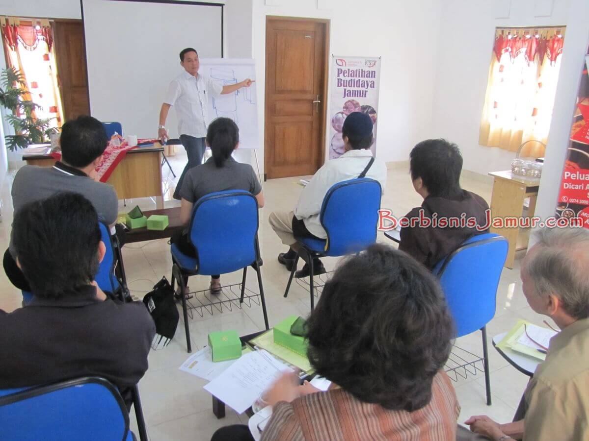 Kelas training budidaya jamur
