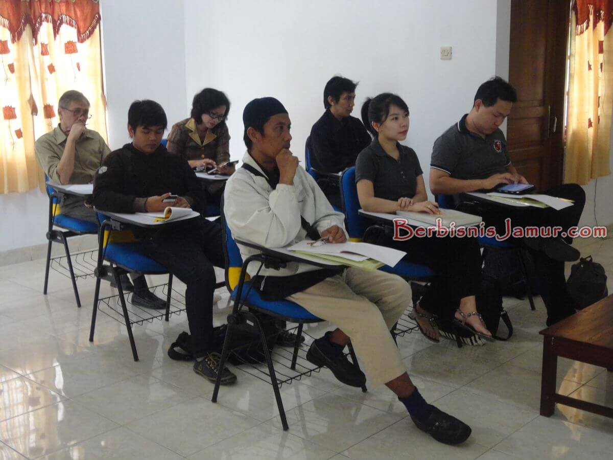 Pelaithan bisnis budidaya jamur tiram