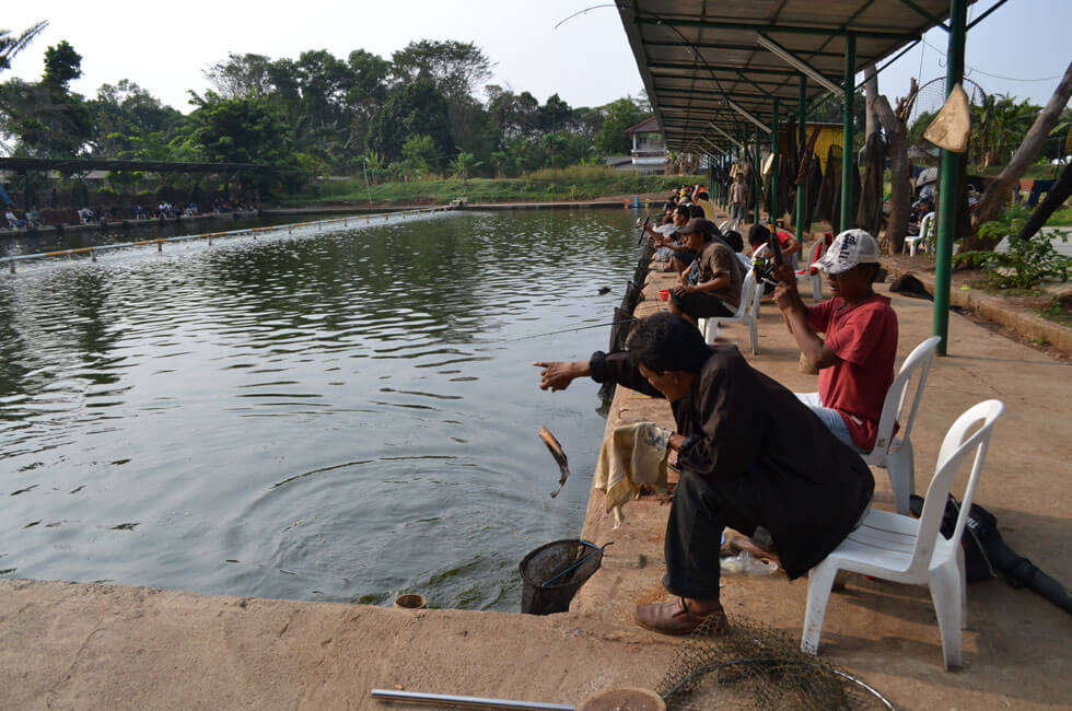 bisnis sampingan kolam pemancingan - Nih Dia Peluang Bisnis Memulai Usaha Kolam Pancingan