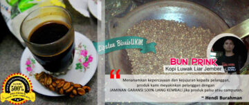 Bisnis Kopi Luwak Jember