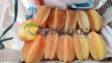 Belimbing Dewa