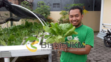 Komunitas Hidroponik Kudus
