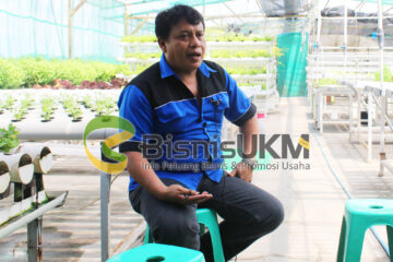 Mudahnya Memulai Bisnis Hidroponik
