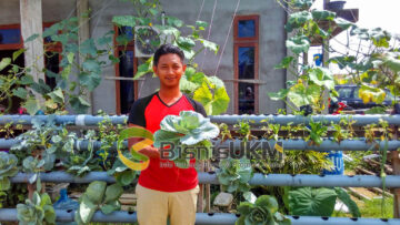Owner hidro poti