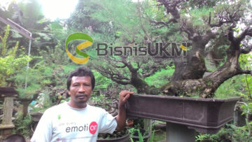 Pengusaha tanaman bonsai di Depok