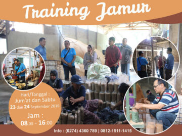 Pelatihan budidaya jamur tiram September 2016