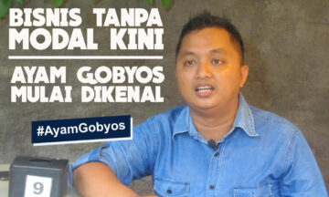 Bisnis Tanpa Modal Kini Ayam Gobyos Mulai Dikenal