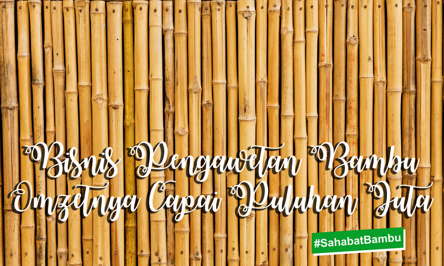 Bisnis Pengawetan Bambu  Omzetnya Capai Puluhan Juta