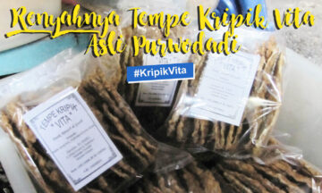 RENYAHNYA TEMPE KRIPIK VITA ASLI PURWODADI