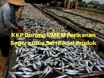 KKP Dorong UMKM Perikanan Segera Urus Sertifikasi Produk