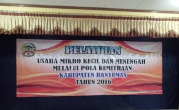 strategi-umkm-dalam-membangun-jaringan-bisnis-kemitraan