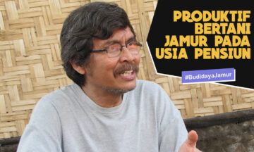 PRODUKTIF BERTANI JAMUR PADA USIA PENSIUN