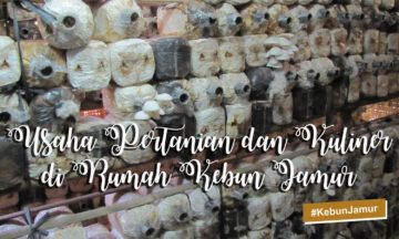Usaha Pertanian dan Kuliner di Rumah Kebun Jamur