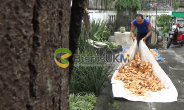 Surya tengah menggeraji kayu untuk dijadikan souvenir. Dalam pengerjaan ia dibantu sejumlah karyawan.