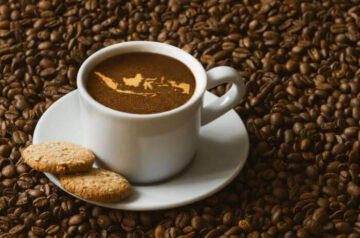 eksportir kopi