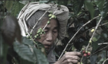 ternyata-leluhur-nya-kopi-indonesia-masih-eksis-sampai-sekarang-lho