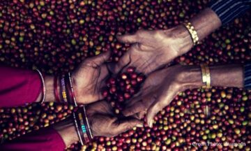 woow-kopi-ini-bisa-mencuri-aroma-tanaman-disekitarnya