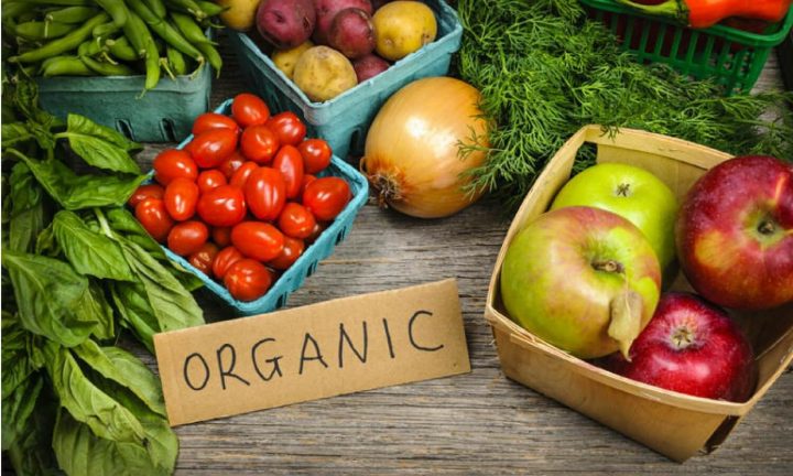 bisnis-produk-pertanian-organik