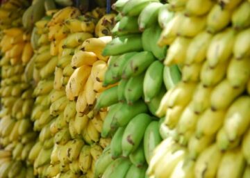 cara-membuat-keripik-pisang-cokelat-cara-asik-makan-pisang