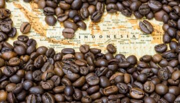 mau-usaha-kopi-wajib-kenali-dulu-jenis-kopi-indonesia
