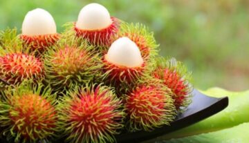 huy-cobain-bisnis-camilan-unik-dari-jambi-rambutan-goreng-yummy