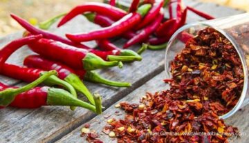 Manfaat-Makanan-Pedas-Yang-Memiliki-Banyak-Khasiat-Untuk-Kesehatan