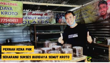 Pernah-Kena-PHK-Sekarang-Sukses-Budidaya-Semut-Kroto