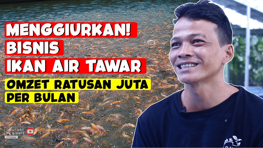 Hasilkan Omzet Ratusan Juta dari Bisnis Benih Ikan Air Tawar!