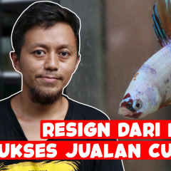 Resign Dari Bank, Kini Sukses Bisnis Ikan Cupang!