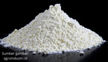 Usaha Mie Tepung Mocaf, Lebih Sehat dan Menguntungkan