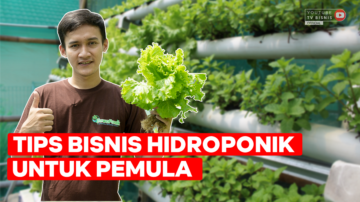 Inilah Rahasia Sukses Menanam Hidroponik Untuk Pemula!