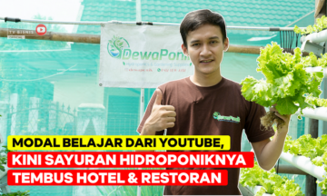 Peluang Usaha Pertanian Hidroponik - BisnisUKM