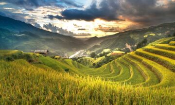 Pentingnya-Asuransi-Pertanian-Untuk-Perlindungan-Usaha-Petani-1