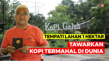 Tempati Lahan 1 Hektar, Tawarkan Kopi Termahal di Dunia