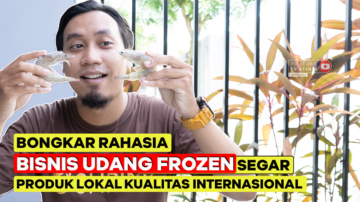 Rahasia Bisnis Udang Vaname, Produk Lokal Kualitas Internasional!